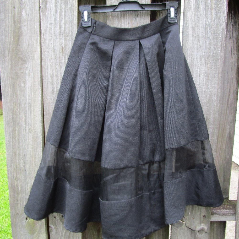 Express Skirt, Sheer Panel insert Black, 6, Pleats - Picture 3 of 7